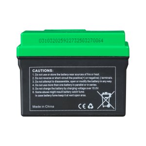 Аккумулятор FUBAG li-ion 3Ah для инверторного генератора TI 11000 A ES (арт. 646211) купить в Петропавловске-Камчатском